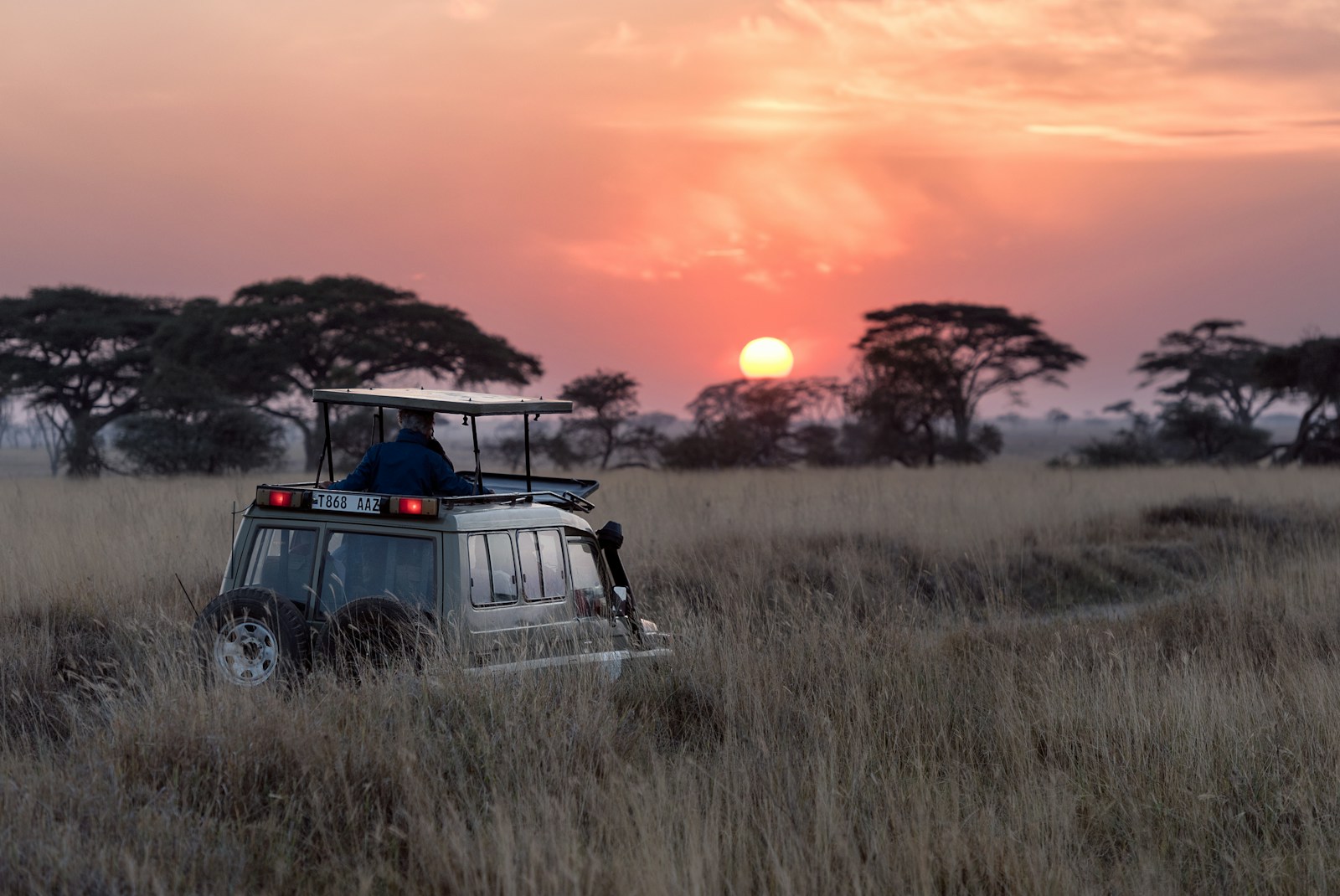 Safari travel website concept photography